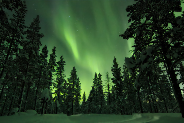image of the Northern Lights in Scandanavia