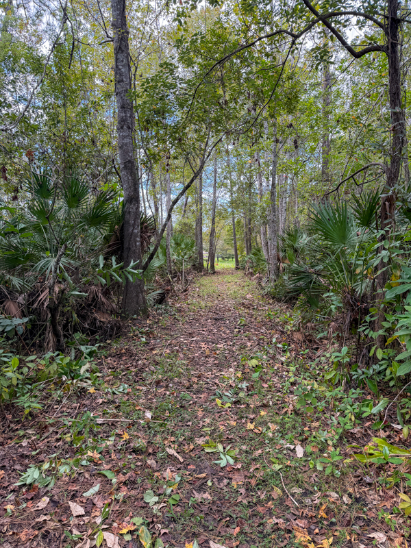 ALumKnights Give Back 2025 49