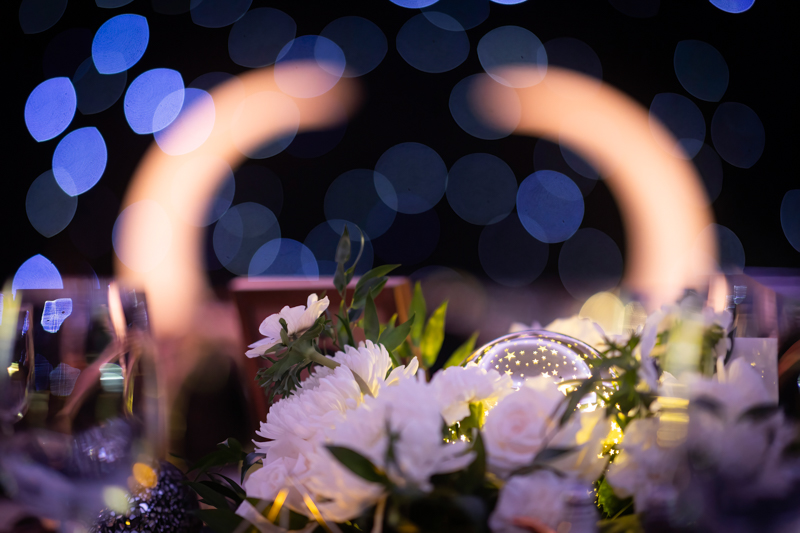 Shining Knights Awards 101