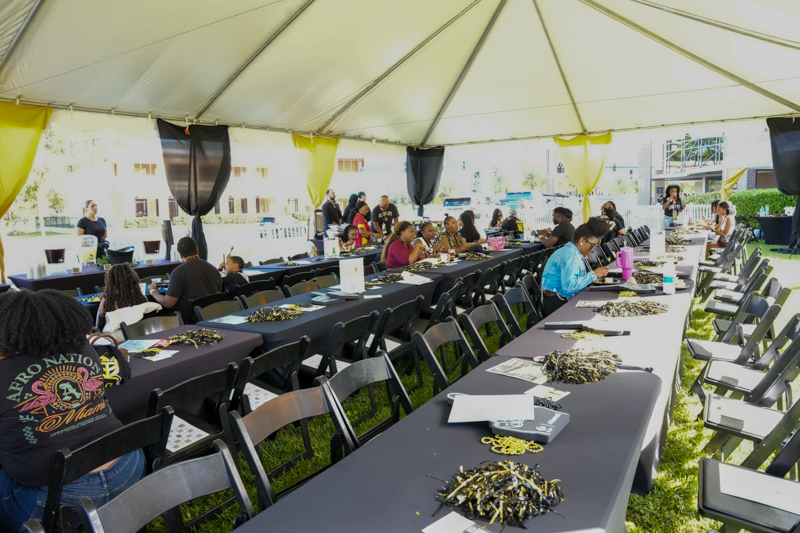 UCF Vs WVU Alumni Tailgate 33