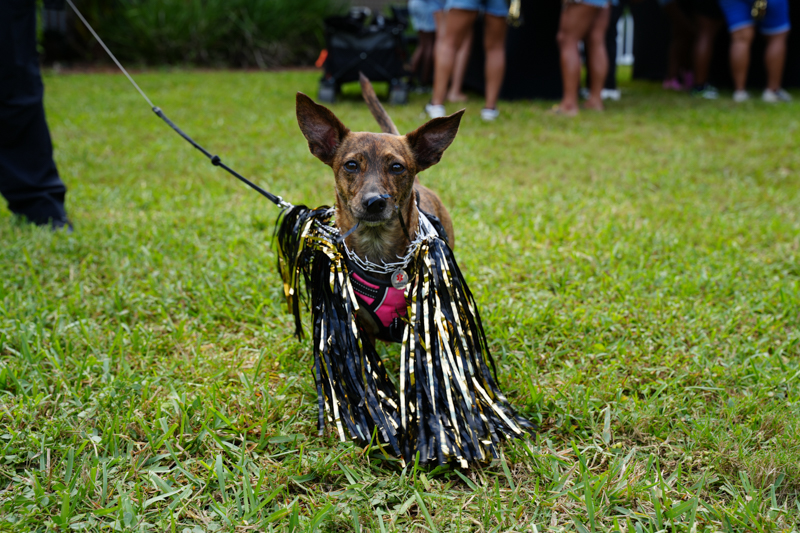 UCF Vs WVU Alumni Tailgate 73
