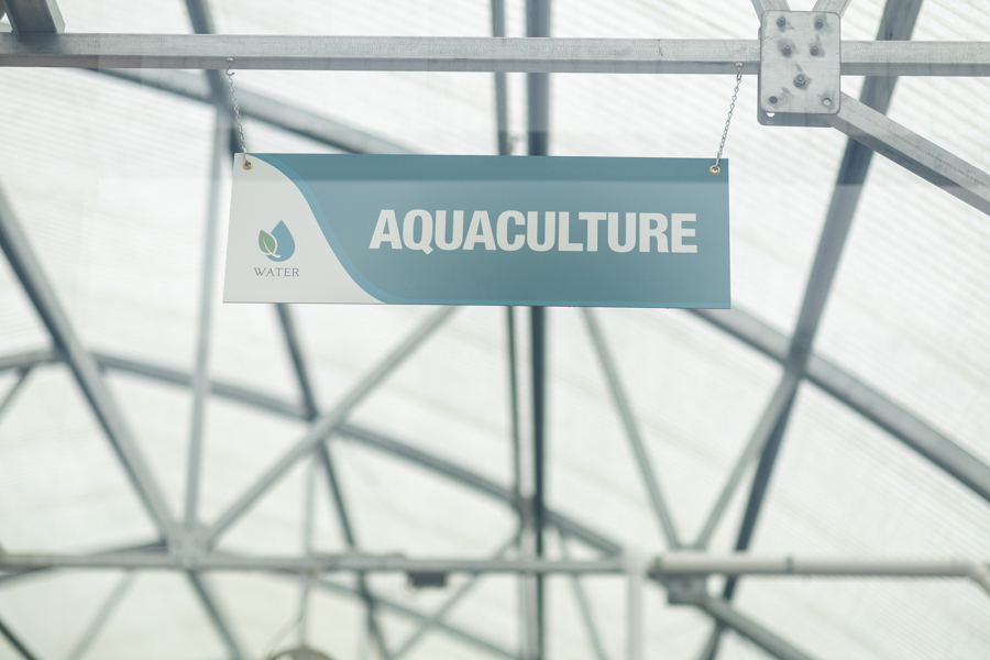 Knight On The Farm 2026 118