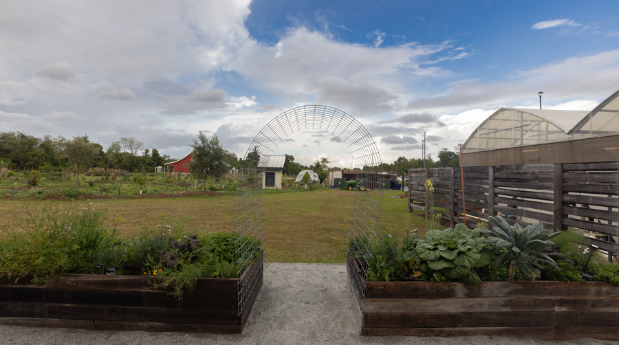 Knight On The Farm 2026 129