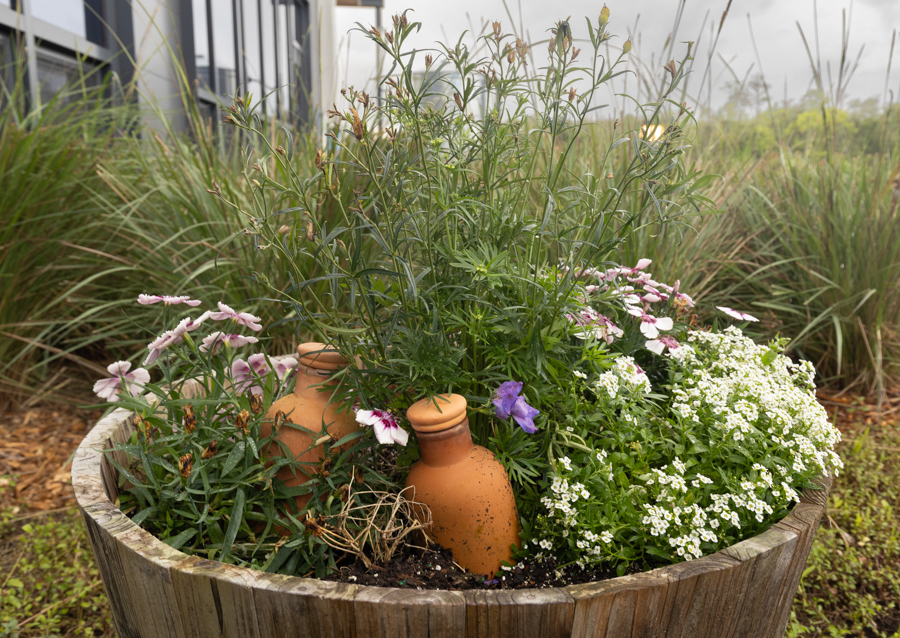 Knight On The Farm 2026 130