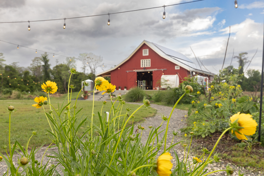 Knight On The Farm 2026 133