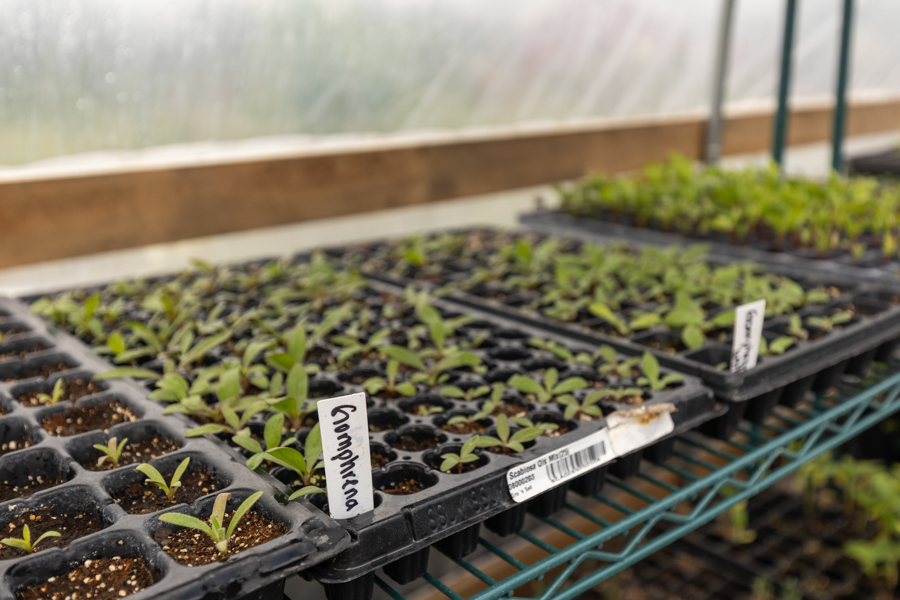 Knight On The Farm 2026 136