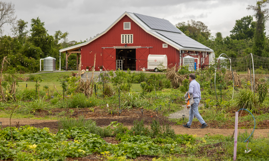 Knight On The Farm 2026 137