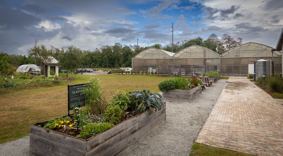 Knight On The Farm 2026 139