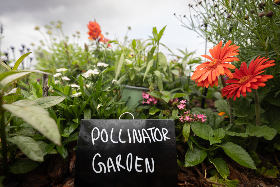 Knight On The Farm 2026 140