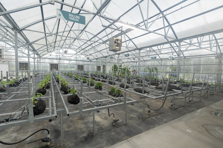 Knight On The Farm 2026 147