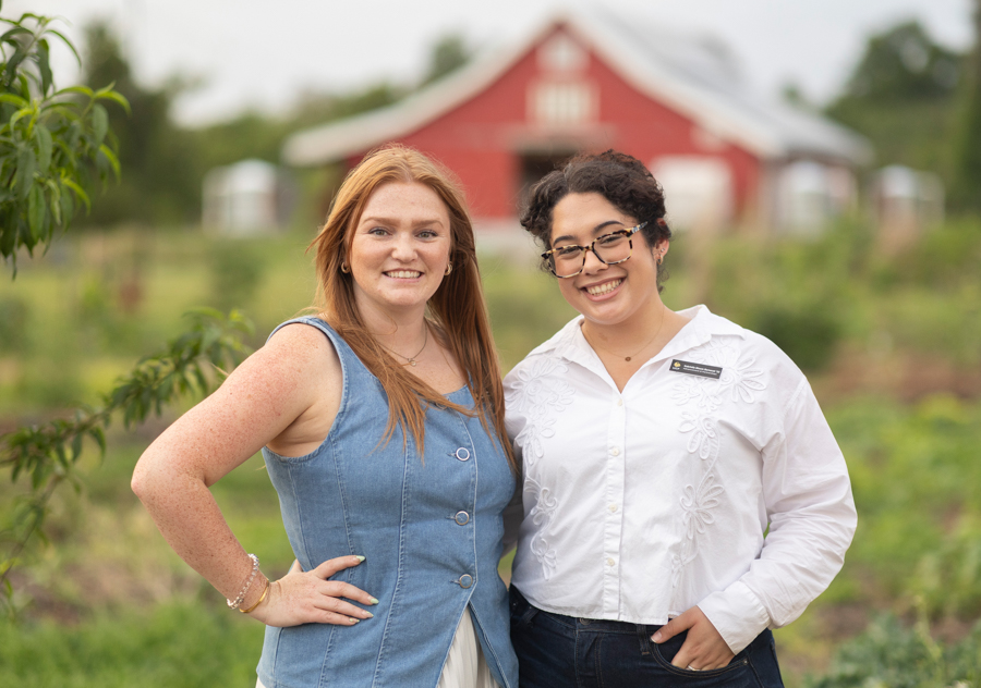 Knight On The Farm 2026 20