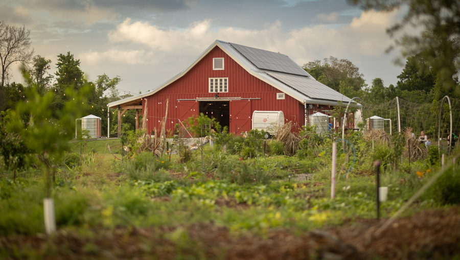 Knight On The Farm 2026 24