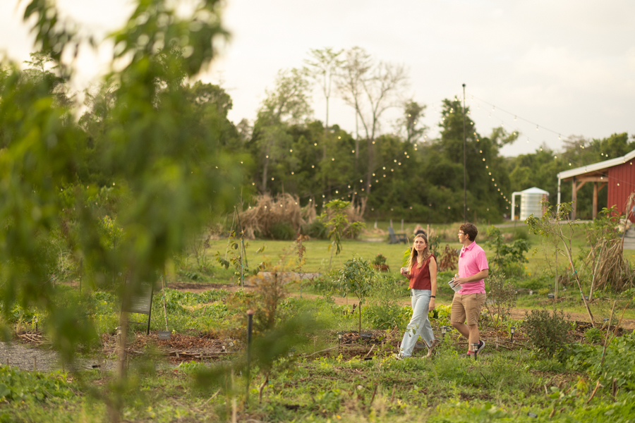 Knight On The Farm 2026 26