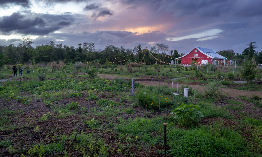 Knight On The Farm 2026 4