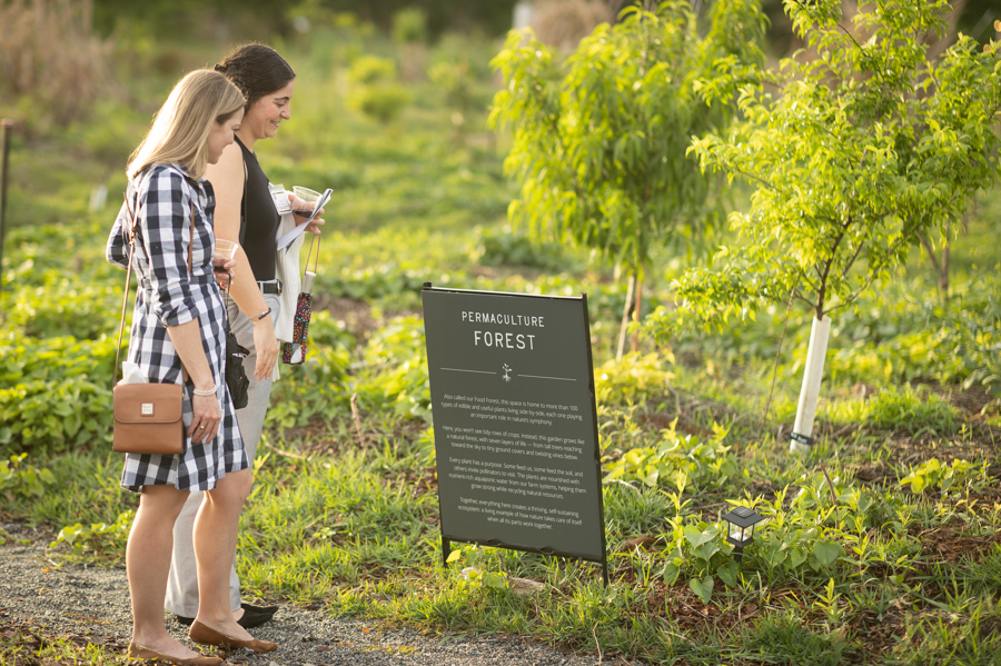 Knight On The Farm 2026 49