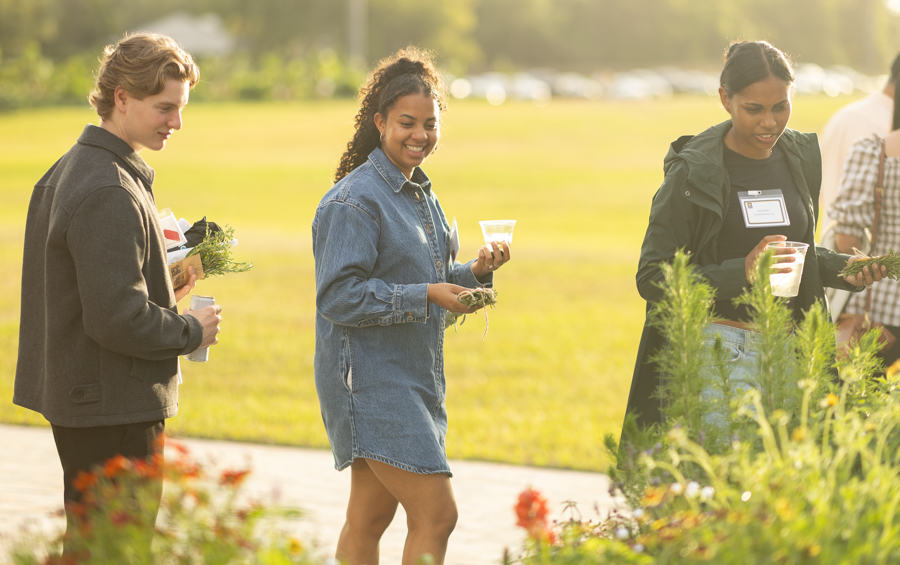 Knight On The Farm 2026 52