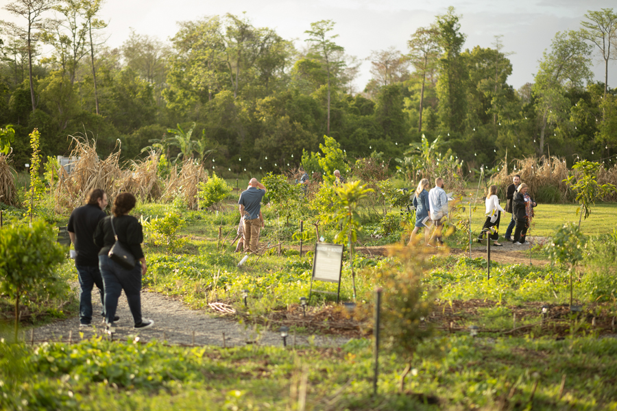 Knight On The Farm 2026 54