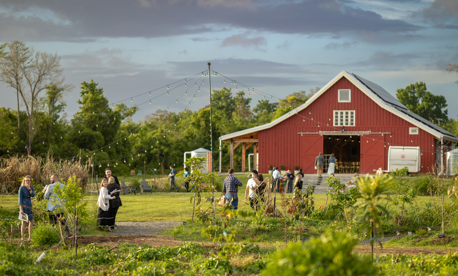 Knight On The Farm 2026 55