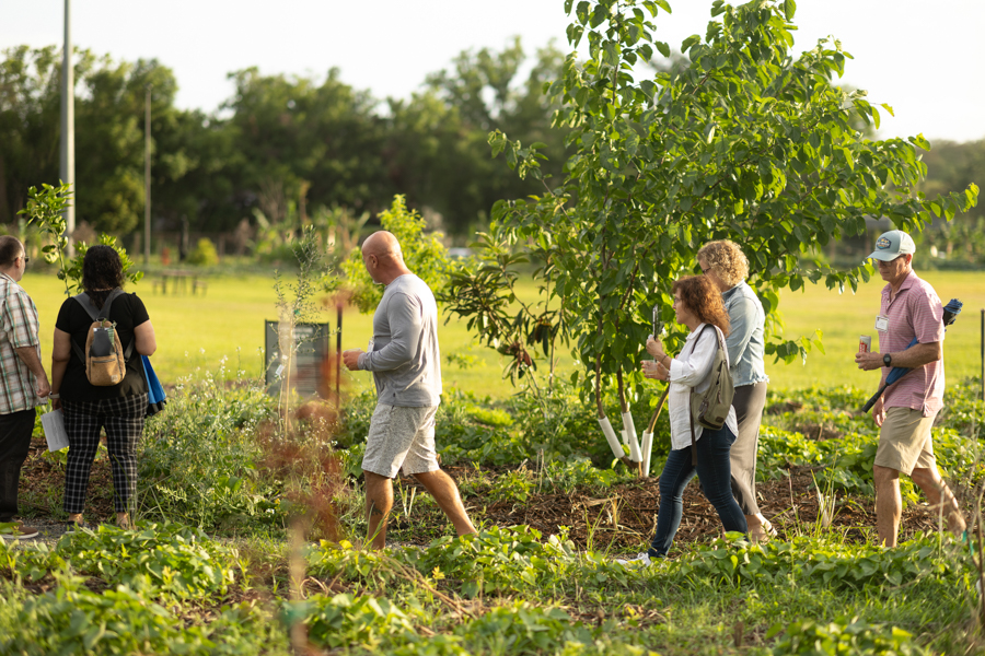 Knight On The Farm 2026 60