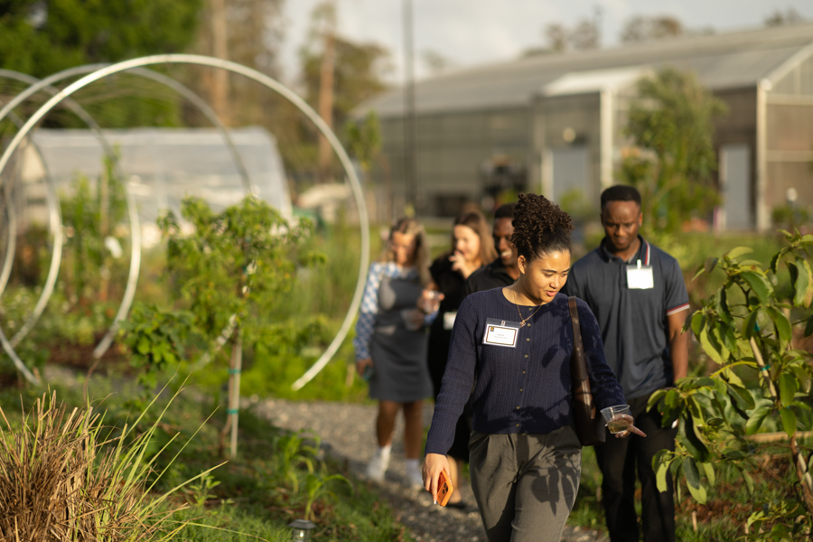 Knight On The Farm 2026 65