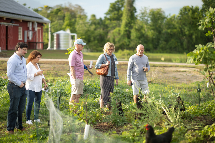 Knight On The Farm 2026 67