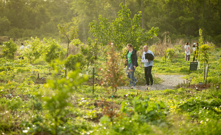 Knight On The Farm 2026 71