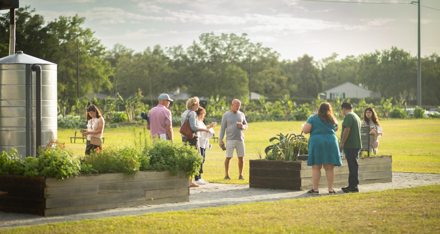 Knight On The Farm 2026 72