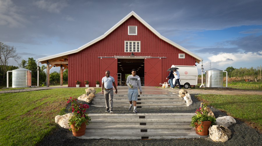 Knight On The Farm 2026 79