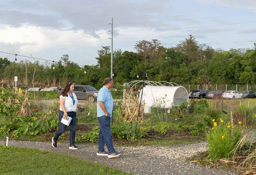 Knight On The Farm 2026 80