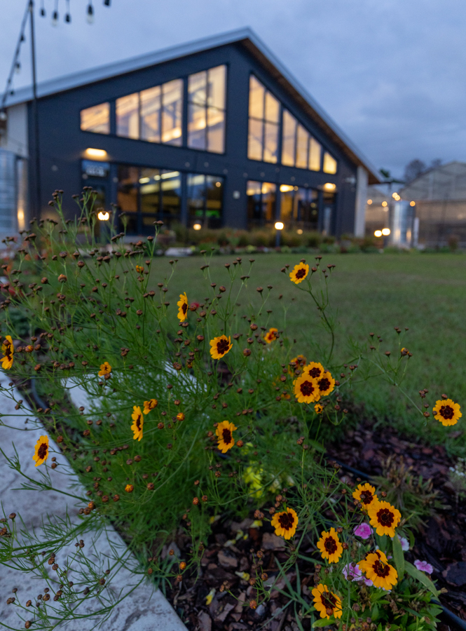 Knight On The Farm 2026