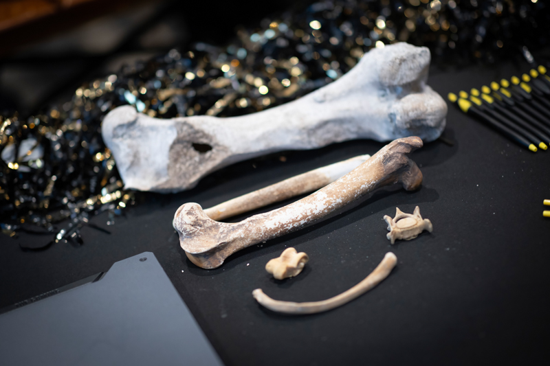 Pile of weathered bone fragments with a large long bone on a dark surface, decorative beads in the background