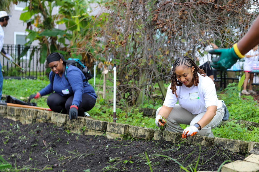 Volunteers gardening in a raised bed, planting young plants with gloves on, outdoors in a community garden.