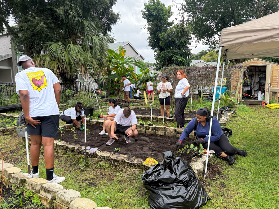 Volunteer group planting in a community garden raised beds, under a beige canopy with tools and bags nearby.