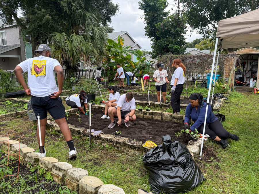 Group of volunteers gardening in a backyard community garden, planting and tending raised beds under a canopy and trees.