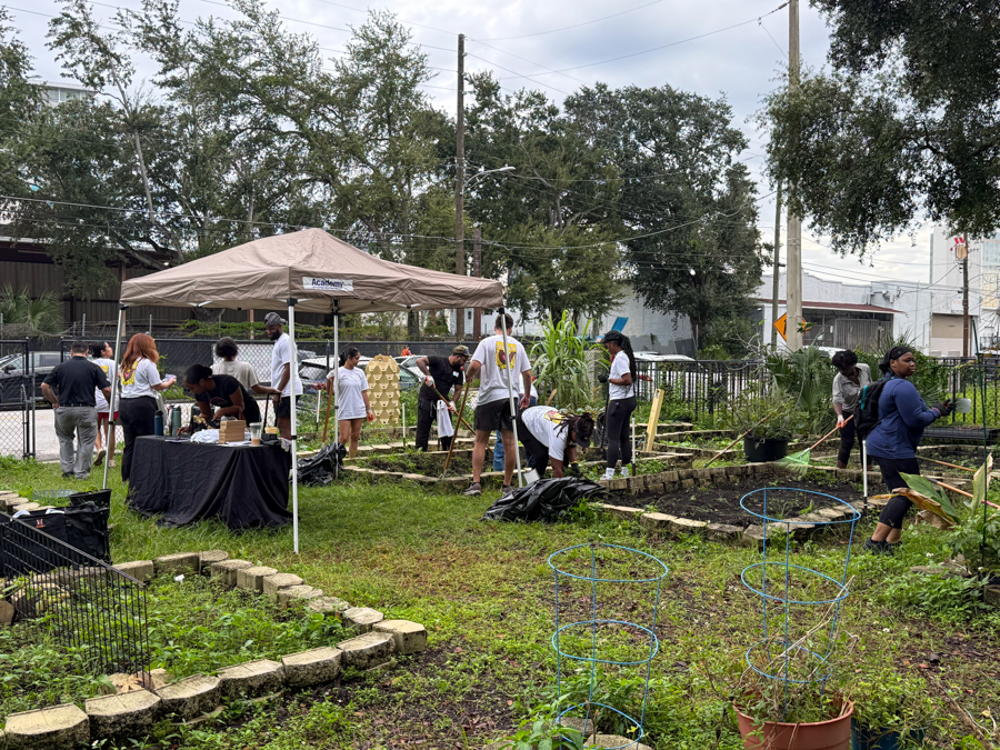 Community garden workday under a tan canopy with volunteers at a table and raised beds in an urban yard.