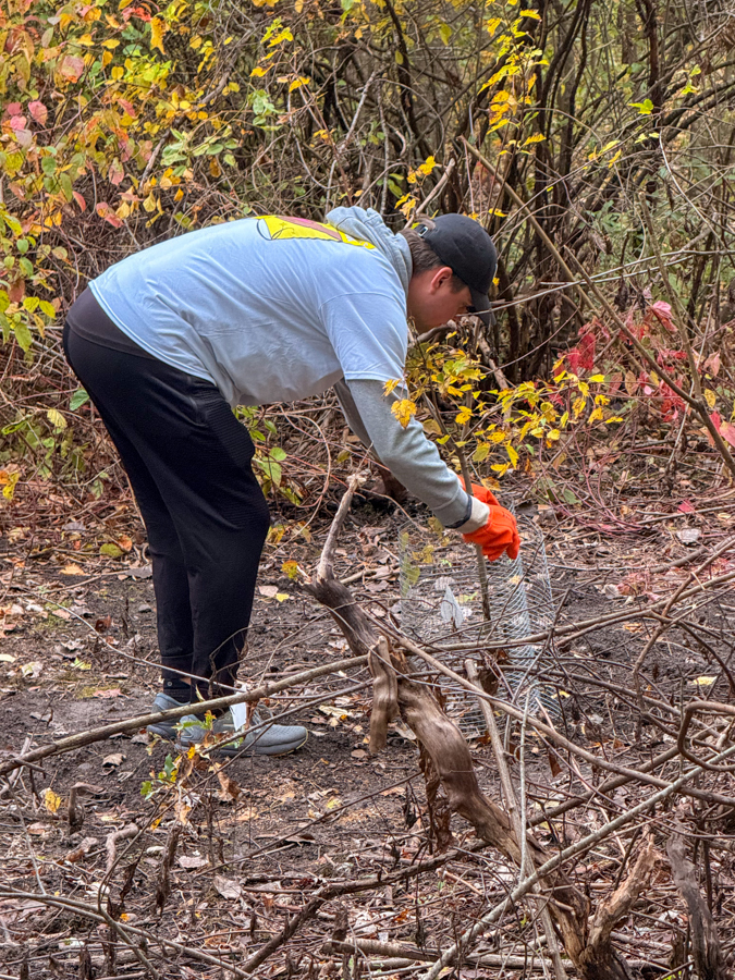 Man wearing a cap and orange gloves bends to pick up litter in a wooded area with autumn leaves and tangled branches
