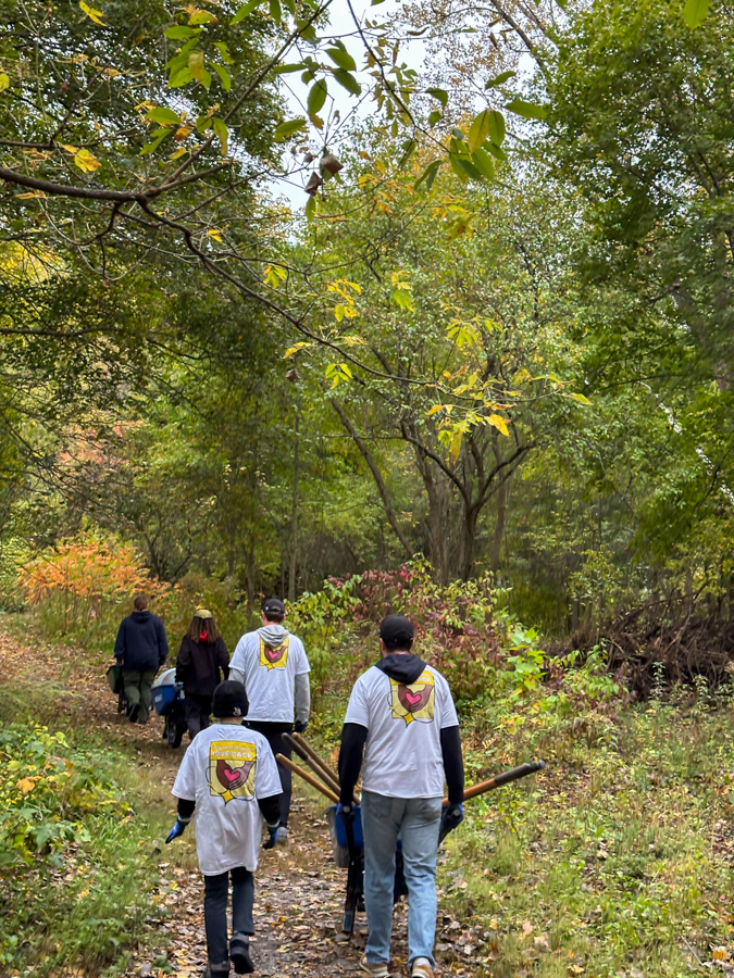Group of volunteers walking a forest trail in fall, carrying wooden sticks, wearing white shirts with a heart logo on the back.