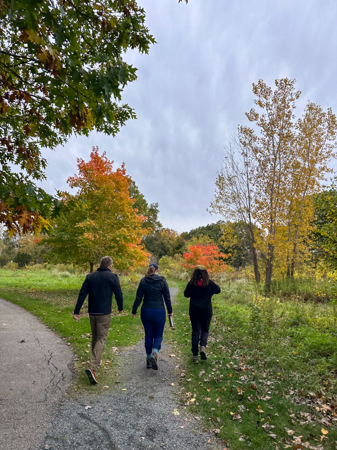 Three people walk away along a gravel park path, surrounded by autumn trees with orange, red, and yellow leaves.