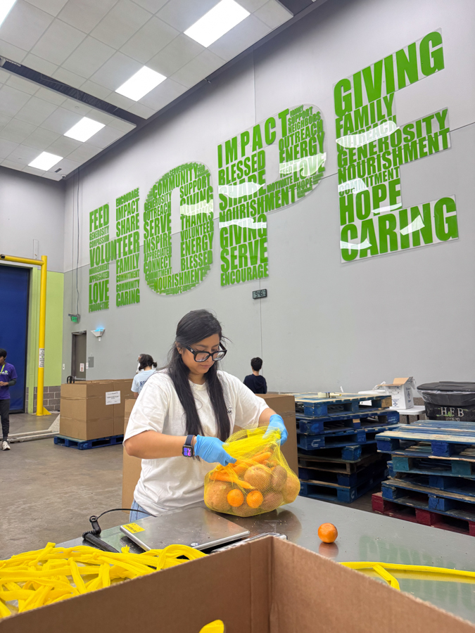Young woman wearing blue gloves sorts oranges into a mesh bag in a warehouse setting.